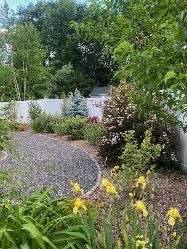 view of yard with fence