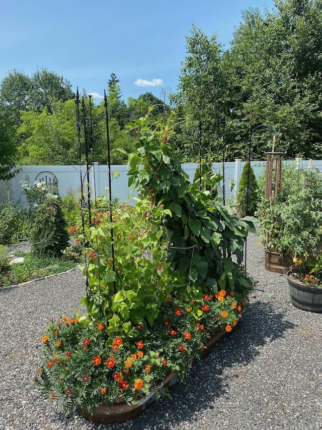 view of yard with fence and a vegetable garden