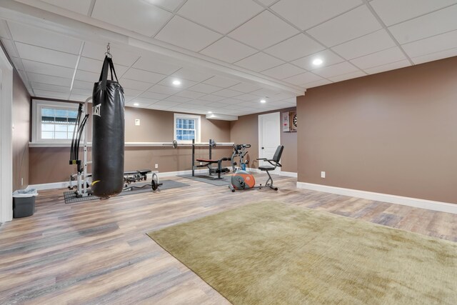 exercise room with baseboards, wood finished floors, and plenty of natural light