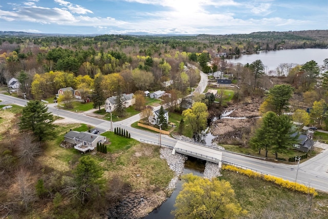 bird's eye view of a nearby body of water, a heavily wooded area, and a notable bridge