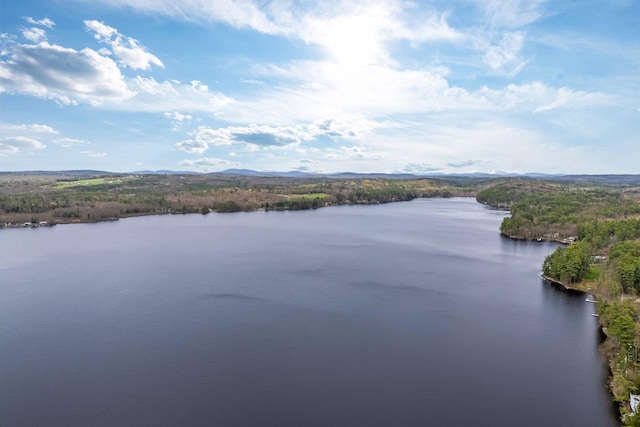 water view with a forest