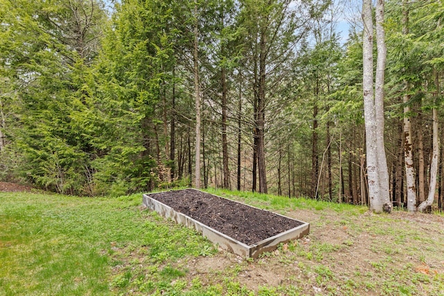 view of yard with a wooded view