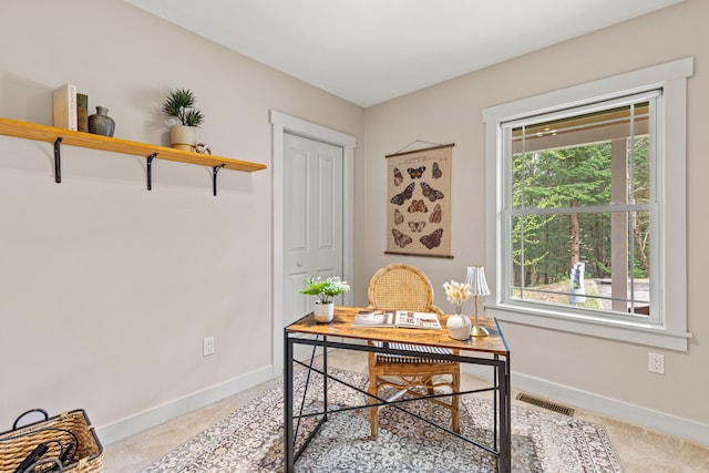 home office with light colored carpet, baseboards, and visible vents