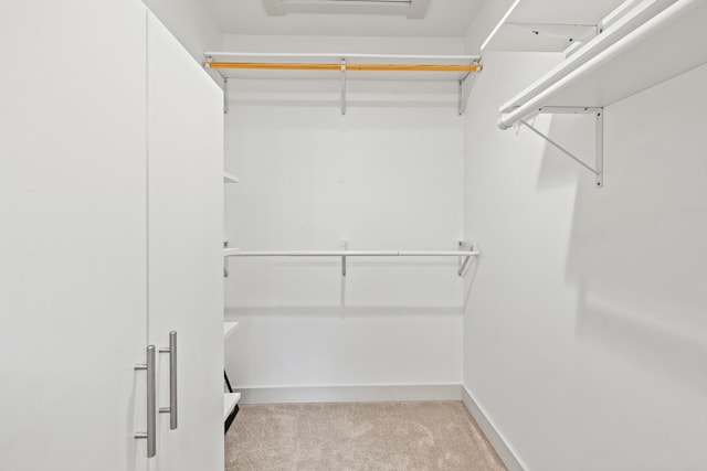 walk in closet featuring carpet floors