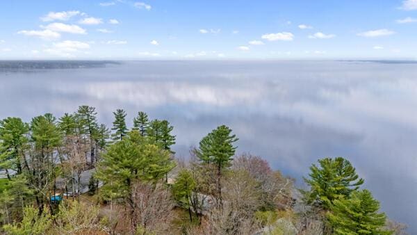 79 Snug Harbor Rd, Standish, ME 04084 - aerial view of a large body of water