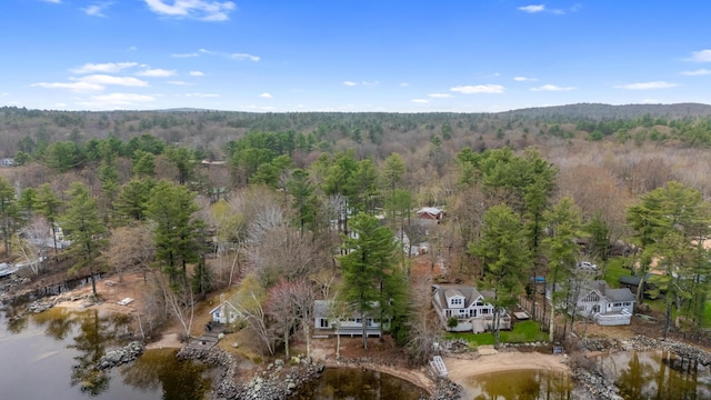 79 Snug Harbor Rd, Standish, ME 04084 - aerial view of property's location with a forest