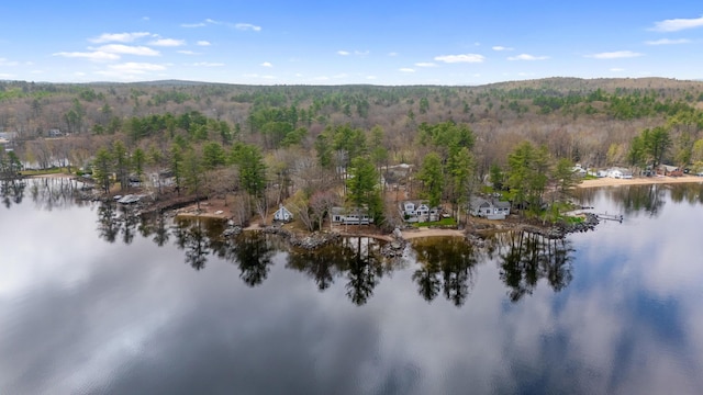 79 Snug Harbor Rd, Standish, ME 04084 - view of property location with a forest and a large body of water