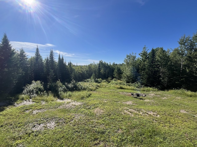 51 Pond Rd, Bradford, ME 04410 - view of nature
