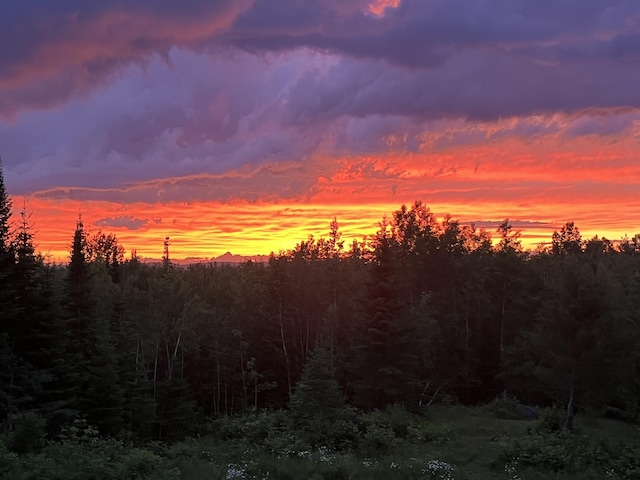 51 Pond Rd, Bradford, ME 04410 - view of landscape