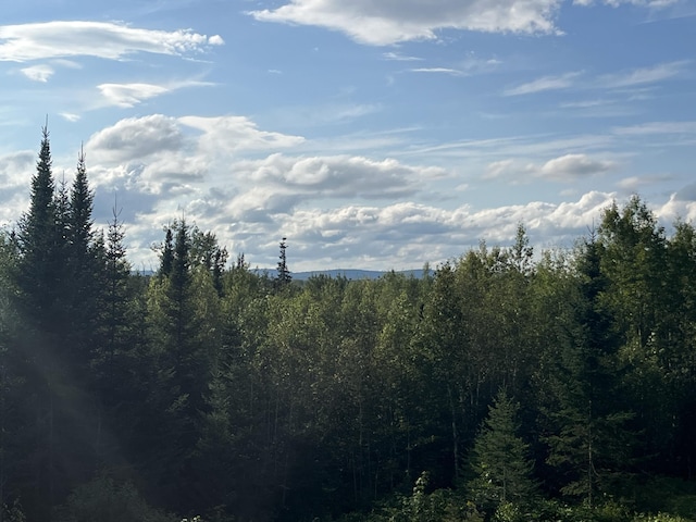 51 Pond Rd, Bradford, ME 04410 - view of nature featuring a forest view