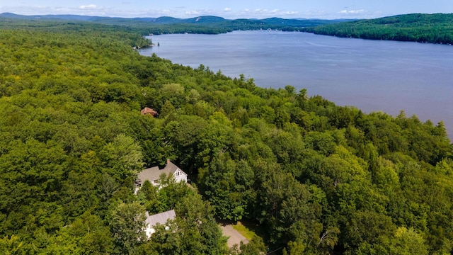 10 Hebb Dr, Bridgton, ME 04009 - photo 50