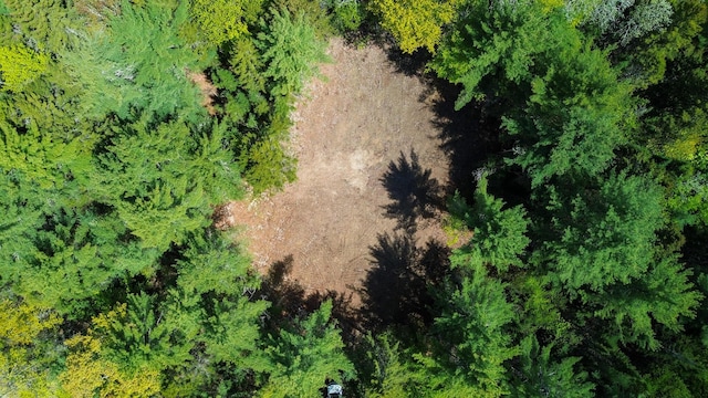 49 Glacier Ln, Northfield, ME 04654