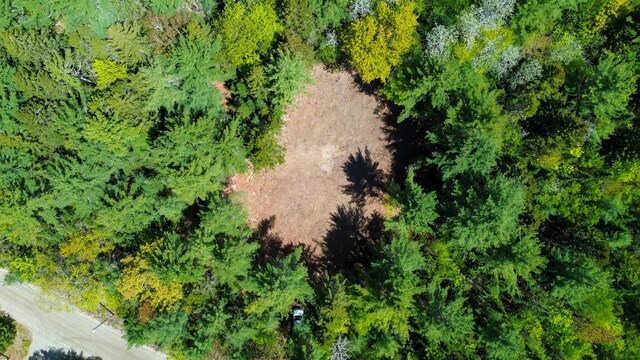 49 Glacier Ln, Northfield, ME 04654