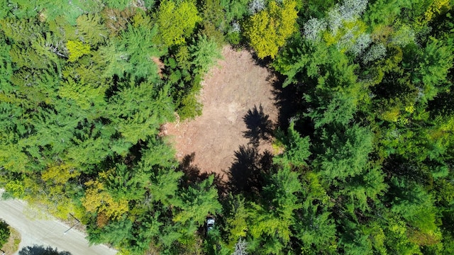 49 Glacier Ln, Northfield, ME 04654
