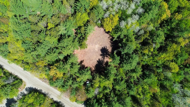 49 Glacier Ln, Northfield, ME 04654