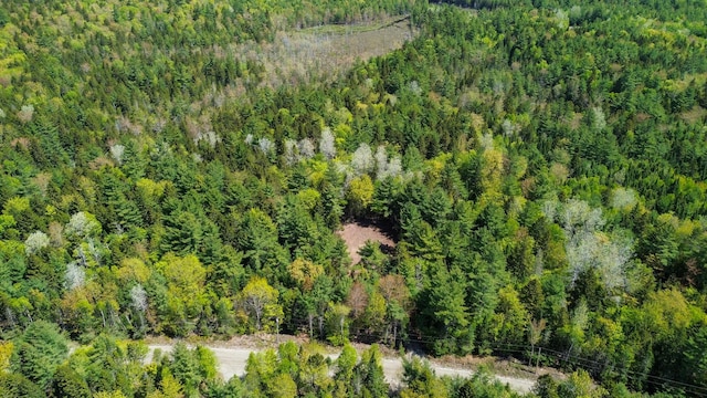49 Glacier Ln, Northfield, ME 04654