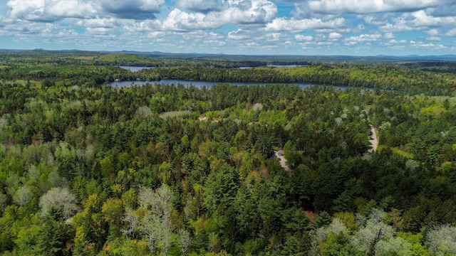 49 Glacier Ln, Northfield, ME 04654