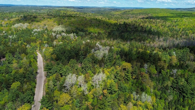 49 Glacier Ln, Northfield, ME 04654