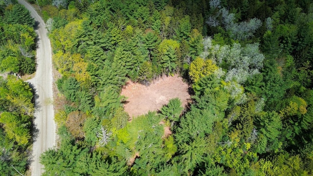 49 Glacier Ln, Northfield, ME 04654