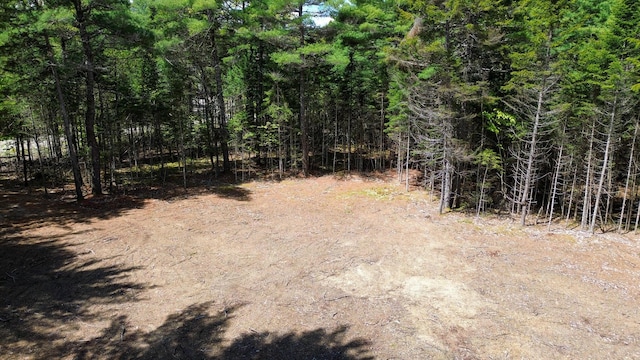 49 Glacier Ln, Northfield, ME 04654