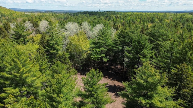 49 Glacier Ln, Northfield, ME 04654