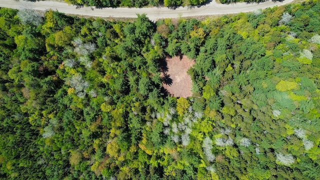 49 Glacier Ln, Northfield, ME 04654