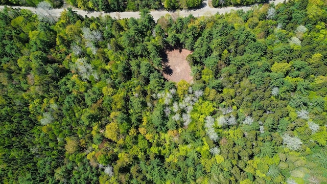 49 Glacier Ln, Northfield, ME 04654