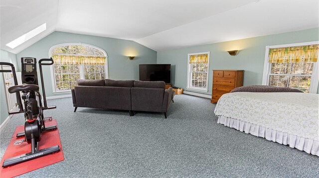 196 Eaton Ridge Dr, Holden, ME 04429 - bedroom featuring a skylight, carpet floors, lofted ceiling, baseboard heating, and multiple windows