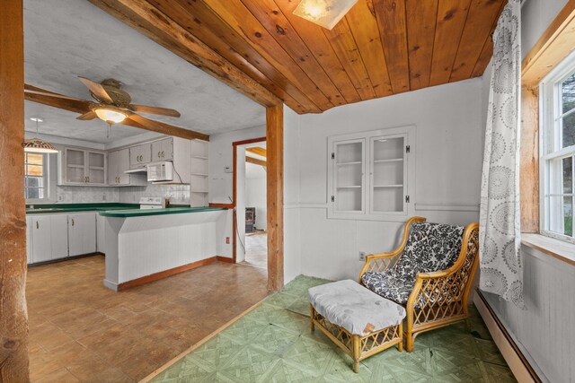 20 Crystal Spring Ln, Rome, ME 04963 - kitchen with a baseboard heating unit, healthy amount of natural light, and dark countertops