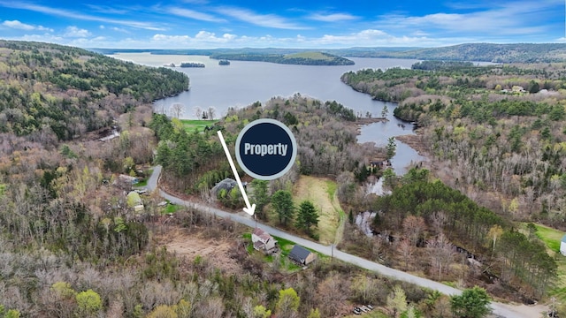 20 Crystal Spring Ln, Rome, ME 04963 - aerial overview of property's location featuring a large body of water and a forest