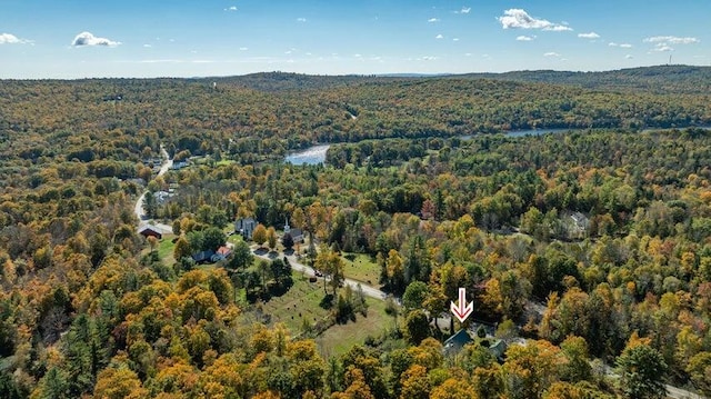 753 Sebec Village Rd, Sebec, ME 04481 - aerial view of property and surrounding area with a forest