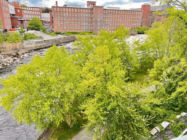 1 Saco Island Ter Unit 205, Saco, ME 04072 - view of yard