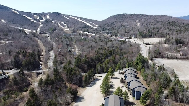 view of mountain backdrop with a heavily wooded area