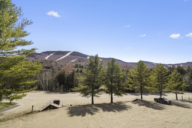 view of mountain backdrop with a forest