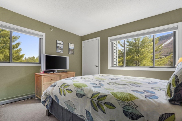 bedroom with carpet floors