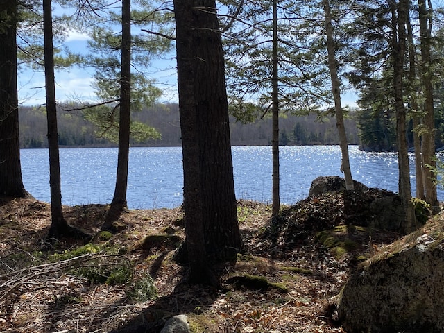 00 Acadia Hwy, Orland, ME 04472