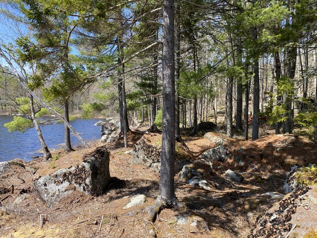 00 Acadia Hwy, Orland, ME 04472