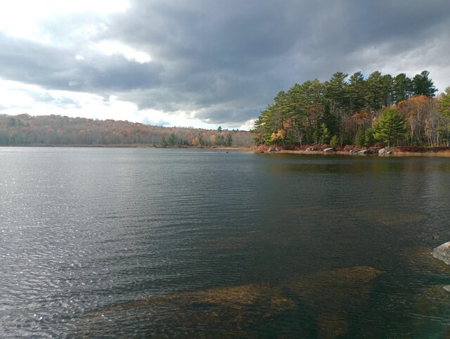 00 Acadia Hwy, Orland, ME 04472