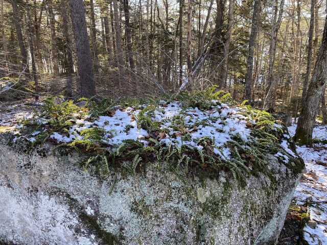00 Acadia Hwy, Orland, ME 04472