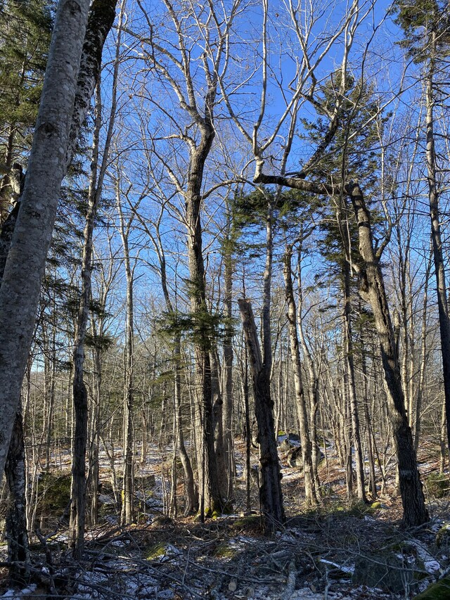 00 Acadia Hwy, Orland, ME 04472