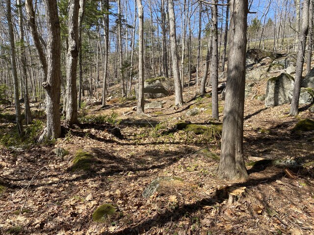00 Acadia Hwy, Orland, ME 04472
