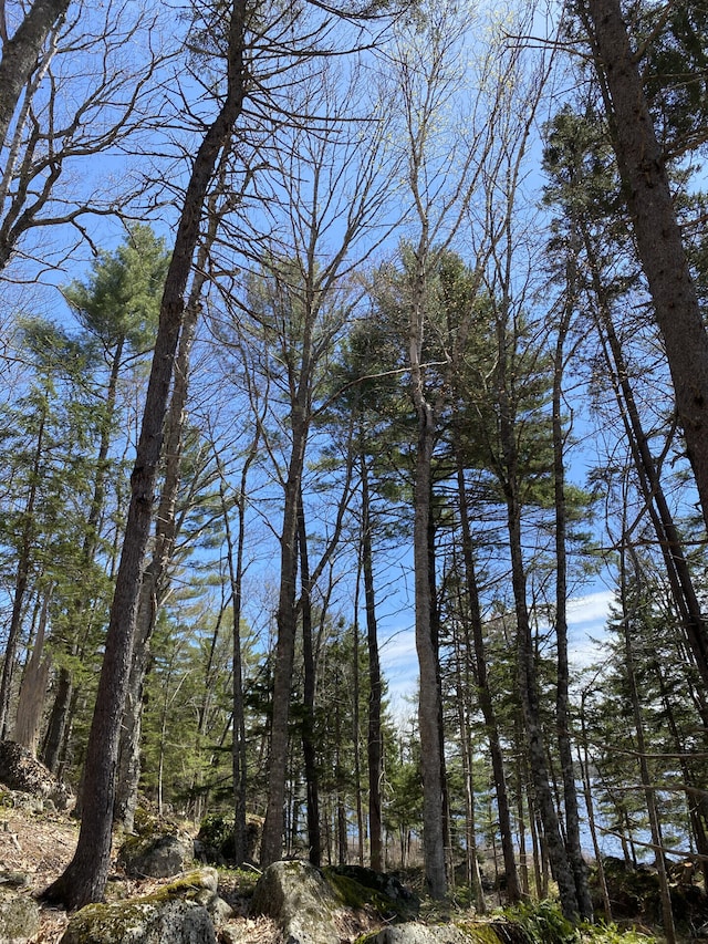 00 Acadia Hwy, Orland, ME 04472