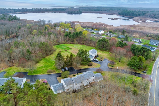 3 Great Pond Ter Unit 3, Cape Elizabeth, ME 04107 - aerial view featuring a forest view and a water view