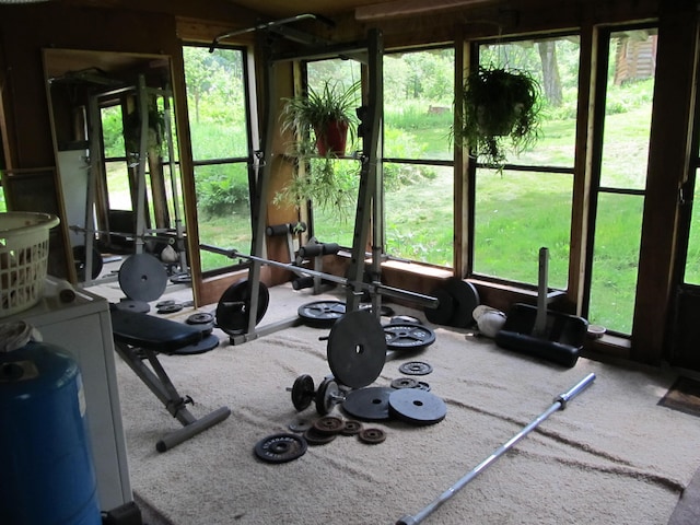 17 Kingsbury Rd, Wellington, ME 04942 - workout room featuring carpet flooring