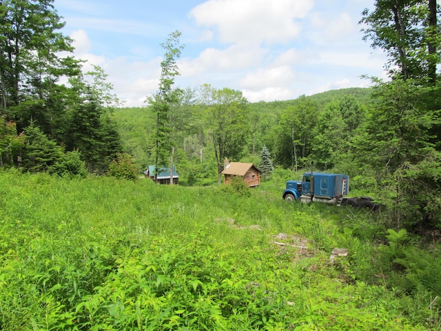 17 Kingsbury Rd, Wellington, ME 04942 - view of yard with a view of trees