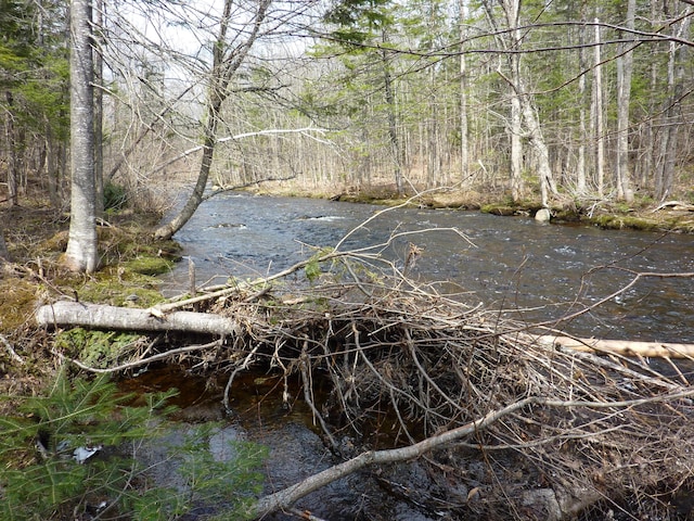17 Kingsbury Rd, Wellington, ME 04942 - view of wooded area