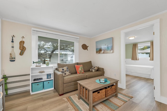 273 Webhannet Dr Unit 8, Wells, ME 04090 - living room featuring ornamental molding and light wood-style flooring