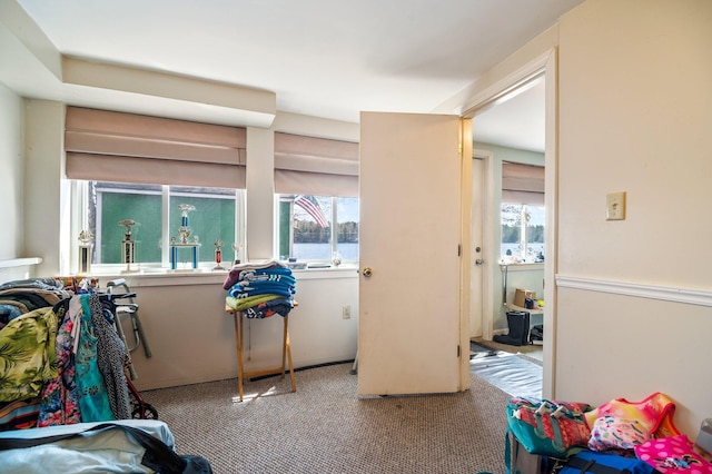 bedroom featuring carpet