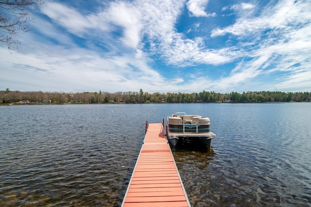 dock with a water view