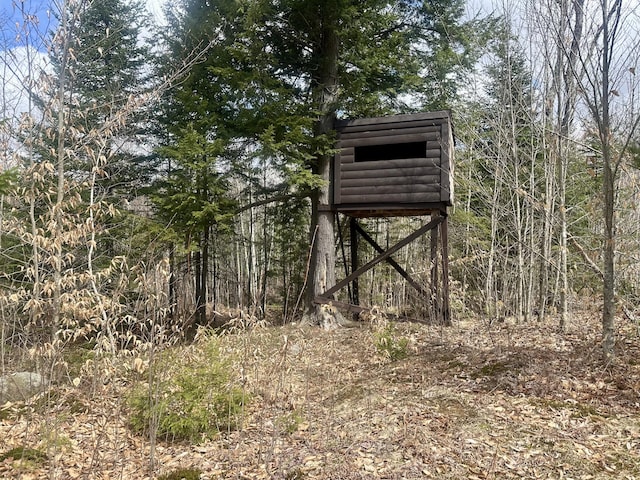 42 Cyrs Siding Rd, Saint Albans, ME 04971 - view of outdoor structure